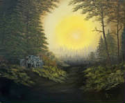 "Dawn In The Forest"